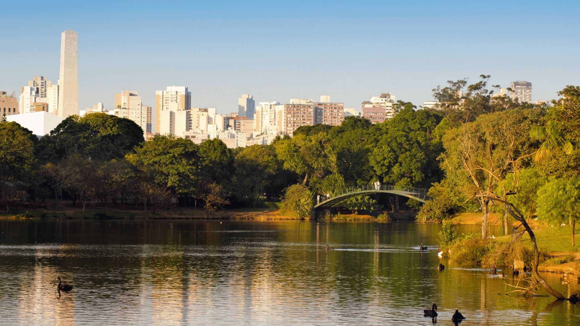 Bairros da Zona Sul de SP.