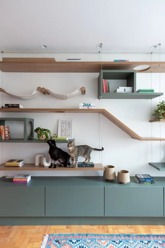 Parede interativa para gatos.