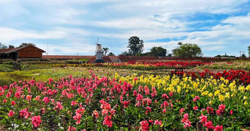 Holambra é um destino para as férias escolares.

